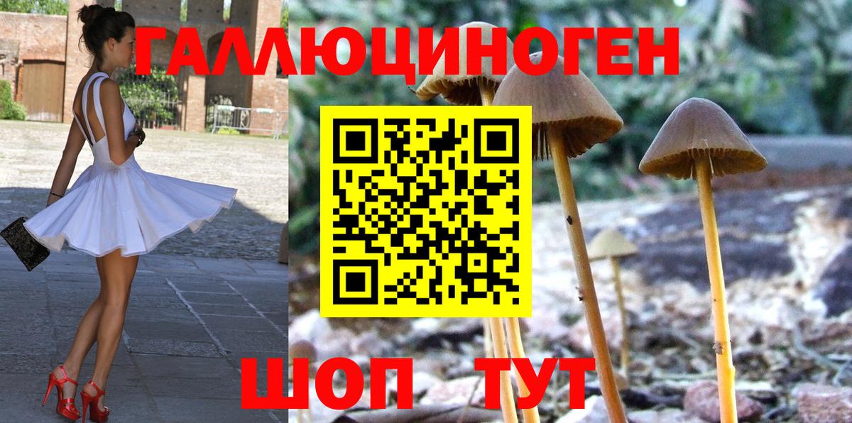 Псилоцибиновые грибы ЛСД Унеча