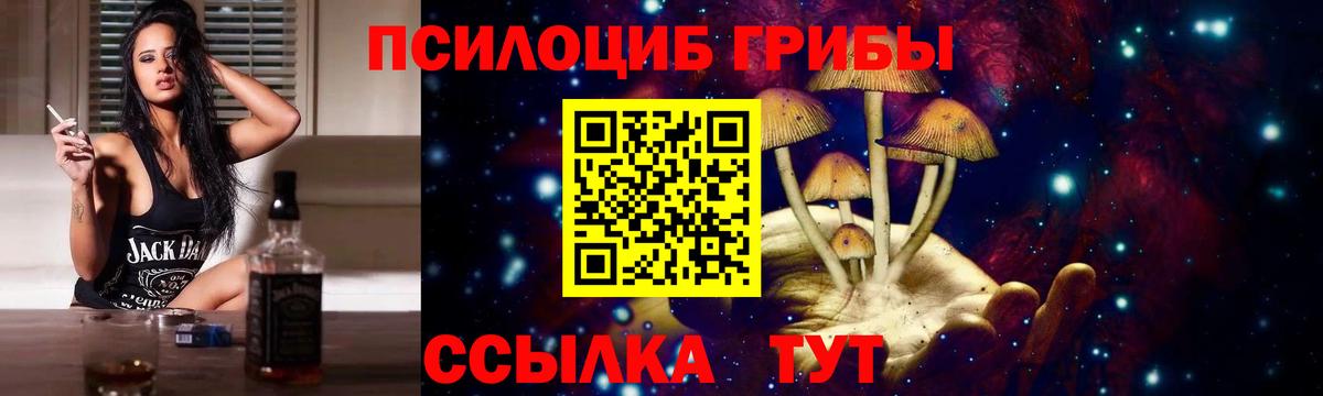 где купить наркотик  Псилоцибиновые грибы Psilocybine cubensis  Вход с VPN  Унеча 